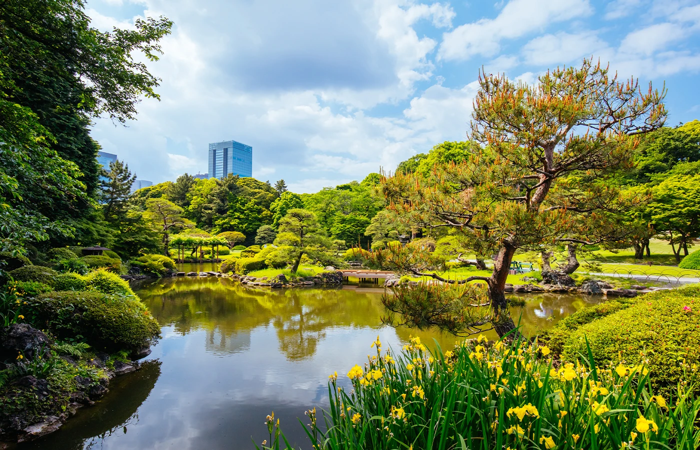 Shinjuku Gyoen