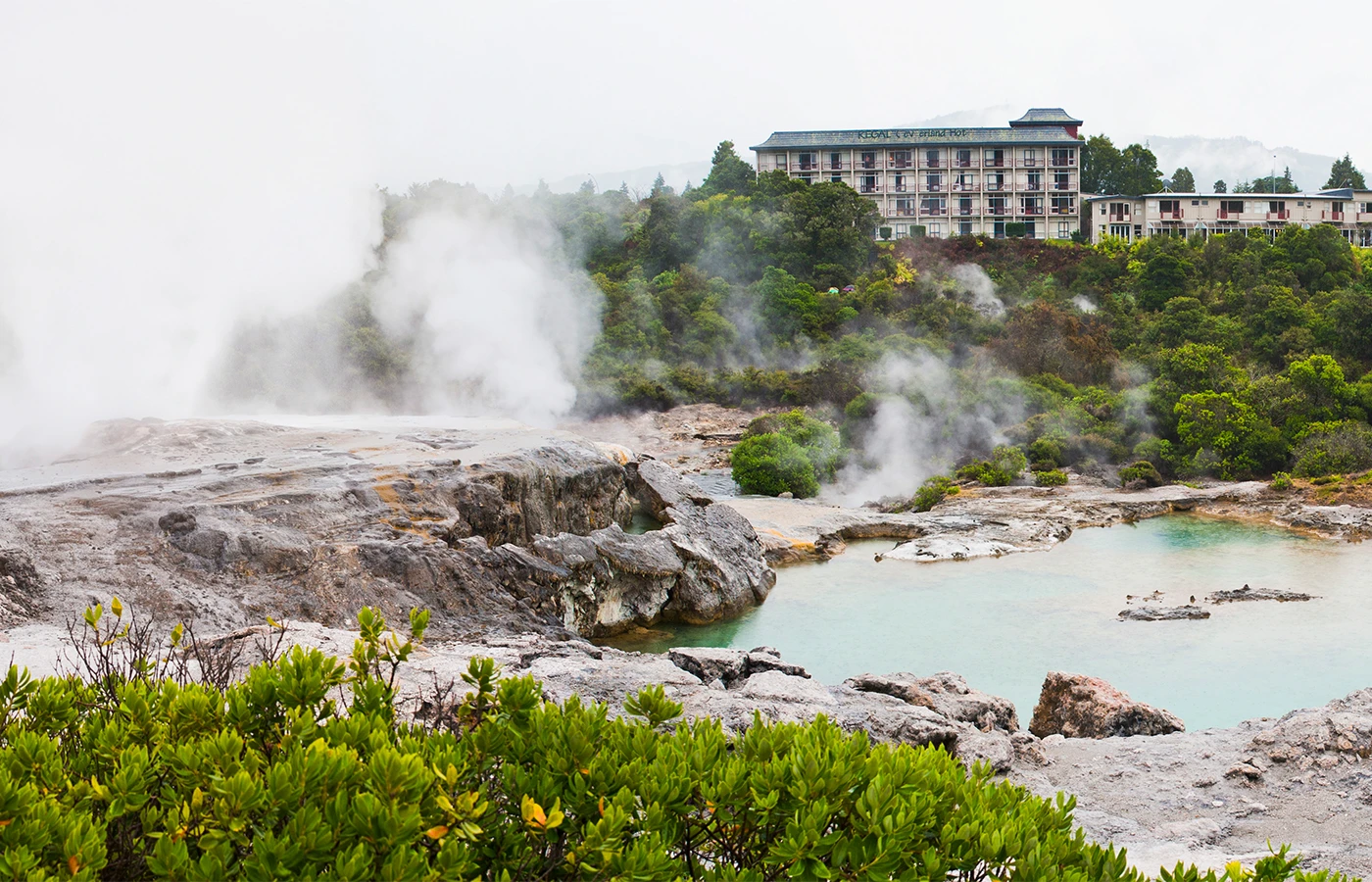 Te Puia Rotorua